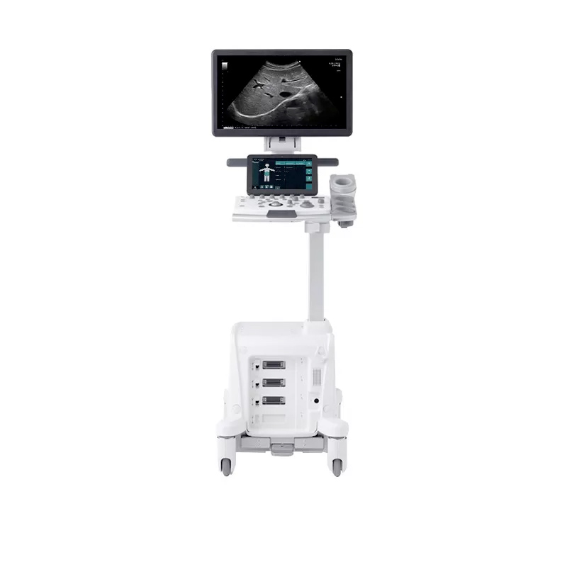 Ultrasonografy stacjonarne wielonarządowe - USG FUJIFILM Arietta 50