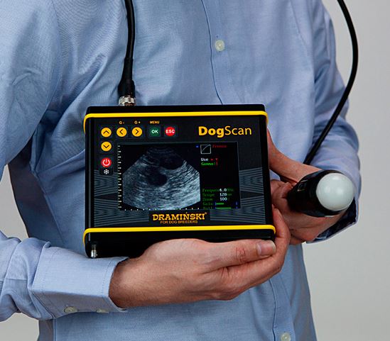 Ultrasonografy wielonarządowe weterynaryjne - USG DRAMIŃSKI DogScan