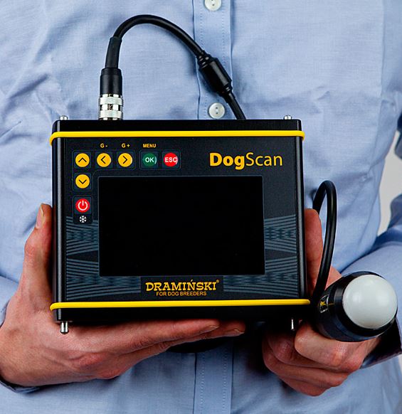 Ultrasonografy wielonarządowe weterynaryjne - USG DRAMIŃSKI DogScan