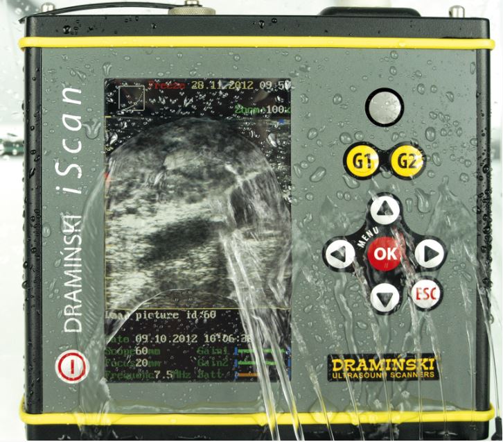 Ultrasonografy wielonarządowe weterynaryjne - USG DRAMIŃSKI iScan