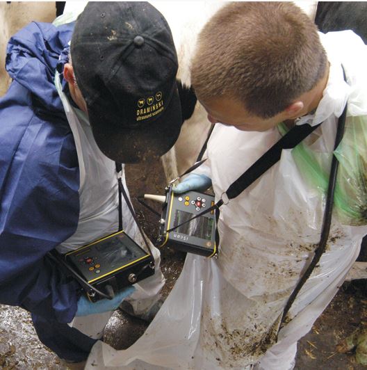 Ultrasonografy wielonarządowe weterynaryjne - USG DRAMIŃSKI iScan