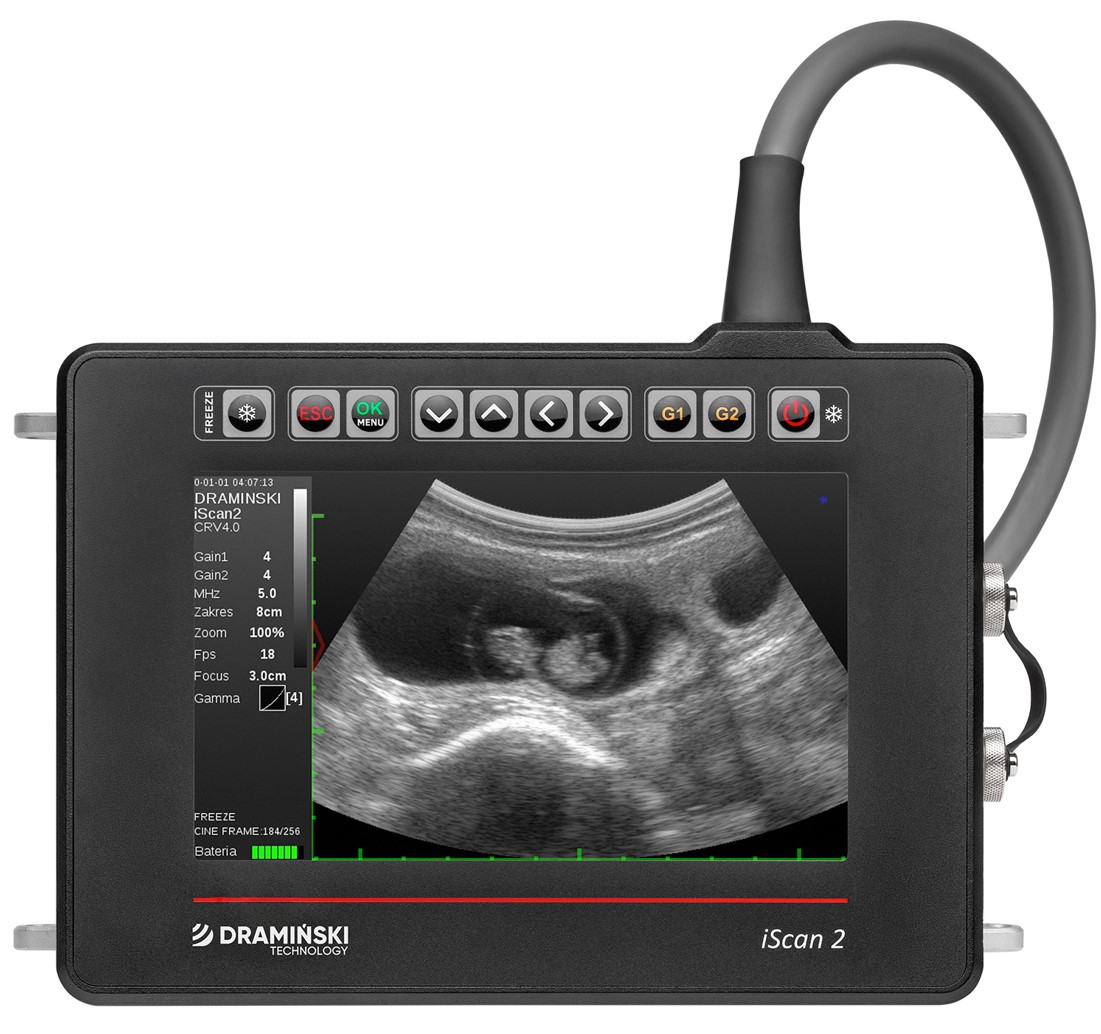 Ultrasonografy wielonarządowe weterynaryjne - USG DRAMIŃSKI iScan 2
