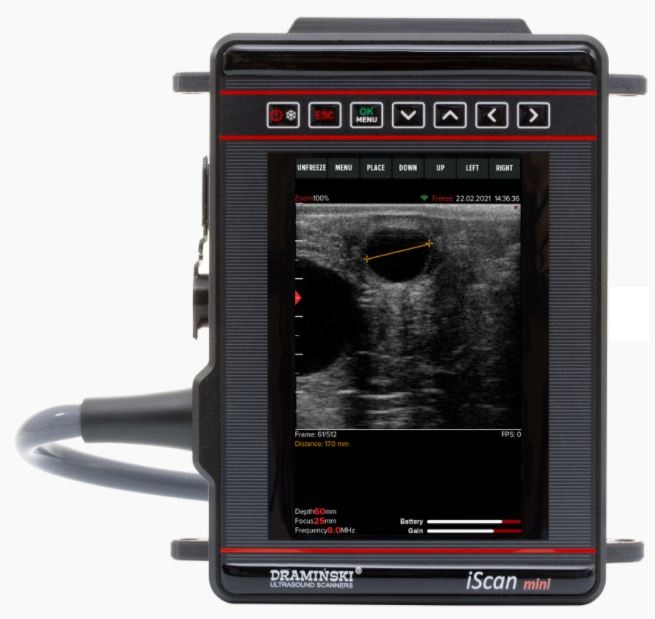 Ultrasonografy wielonarządowe weterynaryjne - USG DRAMIŃSKI iScan Mini