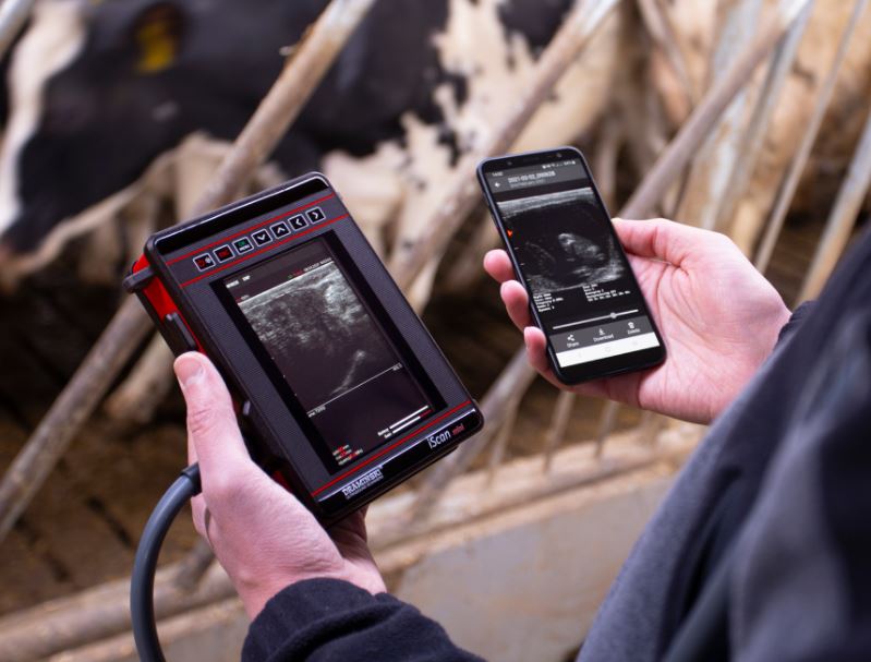 Ultrasonografy wielonarządowe weterynaryjne - USG DRAMIŃSKI iScan Mini