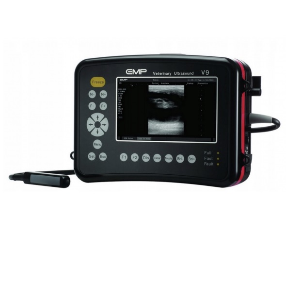 Ultrasonografy wielonarządowe weterynaryjne - USG EMP V9 VET
