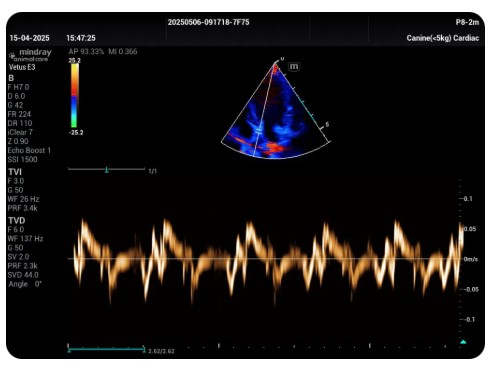 Ultrasonografy wielonarządowe weterynaryjne - USG MINDRAY Vetus E3