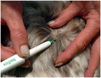 Urządzenia do usuwania kleszczy Innotech Sweden Trix lasso