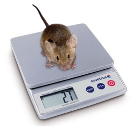 Wagi weterynaryjne COVETRUS 2801012