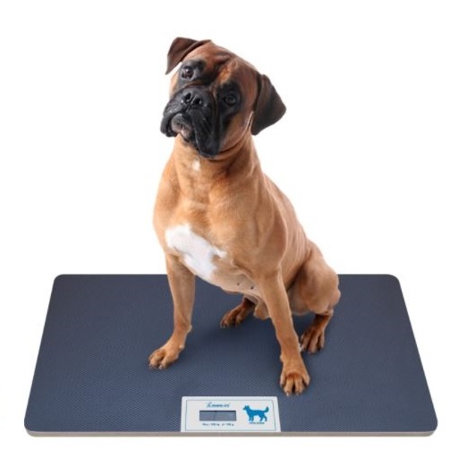 Wagi weterynaryjne Momert Digital Vet Scale