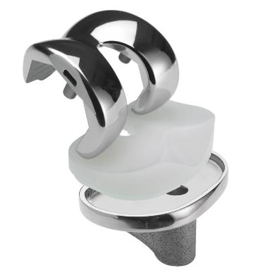 Wkładki endoprotez stawu kolanowego PERMEDICA ORTHOPAEDICS Prime Flex