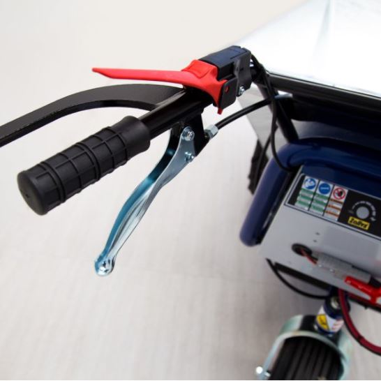 Wózki transportowe z napędem elektrycznym Zallys D1