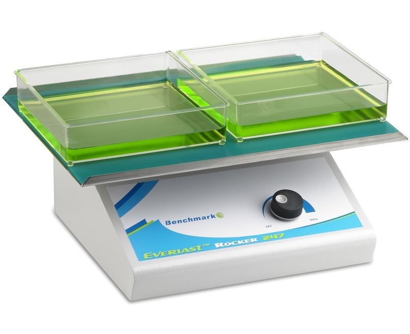 Wytrząsarki laboratoryjne Benchmark Everlast247 kołyska 2D