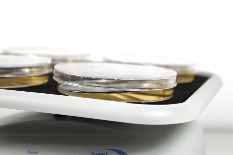 Wytrząsarki laboratoryjne Biosan MR-1