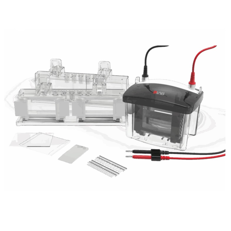 Zbiorniki do elektroforezy DLAB Scientific DL-Mini04