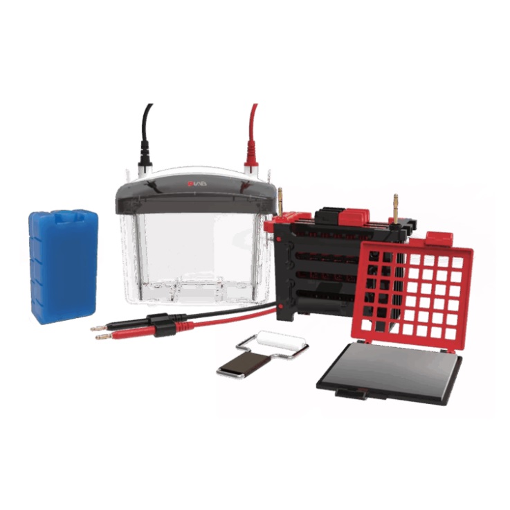 Zbiorniki do elektroforezy DLAB Scientific DL-ZY04