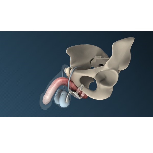 Zestawy do nietrzymania moczu AMI ATOMS