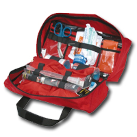 Zestawy ratownicze Paramedica R-O