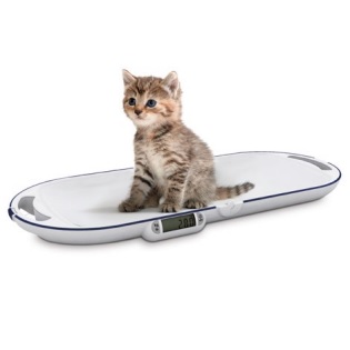 Wagi i wzrostomierze medyczne weterynaryjne