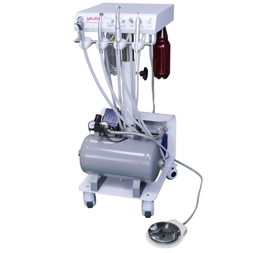 Unity stomatologiczne weterynaryjne