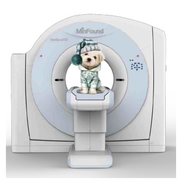 Tomografy  weterynaryjne