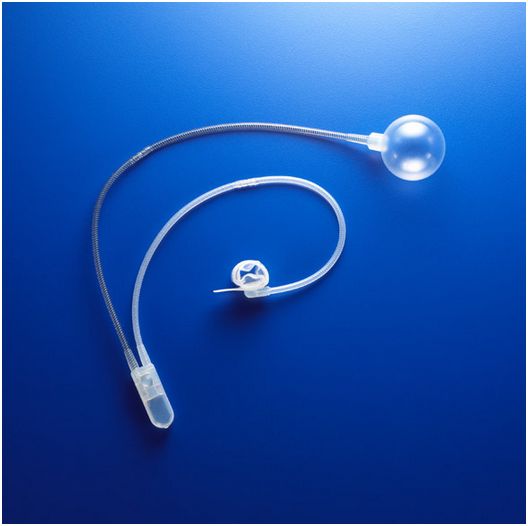 Zwieracze cewki moczowej