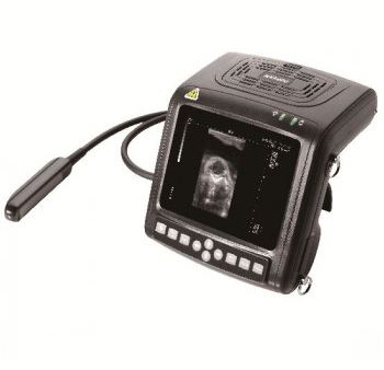 Ultrasonografy wielonarządowe weterynaryjne - USG