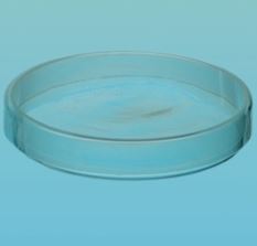 Szalki Petriego szklane