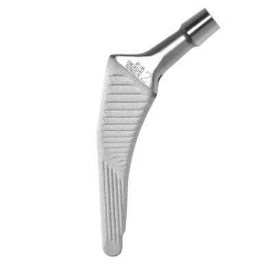 Trzpienie endoprotez stawu biodrowego