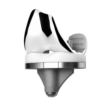 Endoprotezy stawu kolanowego