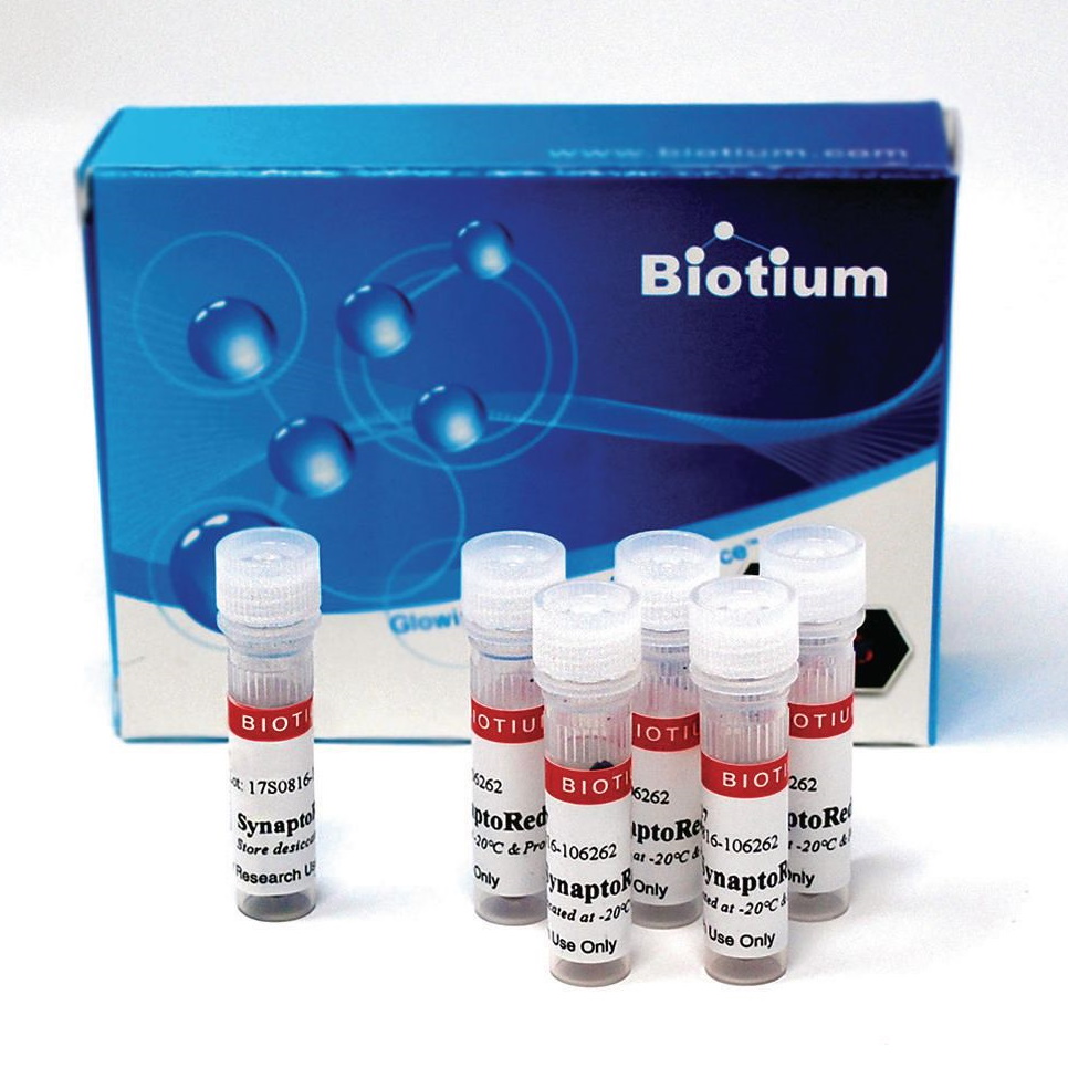 Barwniki do biologii molekularnej