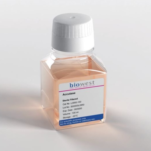 Suplementy i dodatki do hodowli komórek