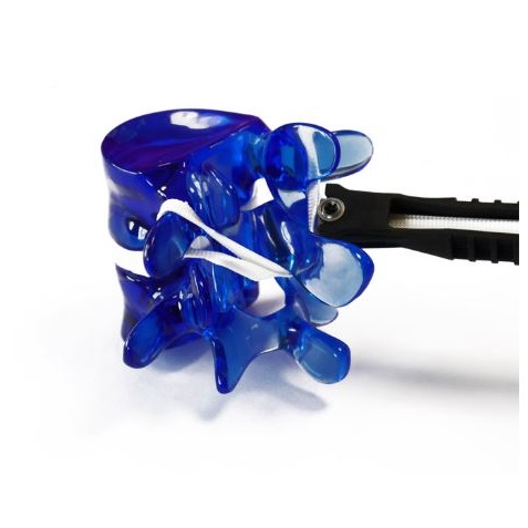 Implanty kręgosłupa