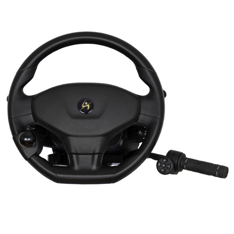 Manetki do aut dla osób niepełnosprawnych