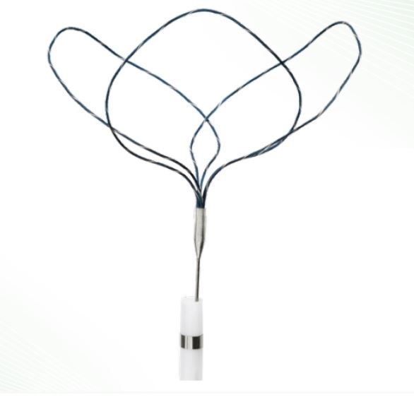 Pętle do usuwania ciał obcych w układzie sercowo-naczyniowym