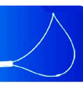 Pętle do endoskopów giętkich używane