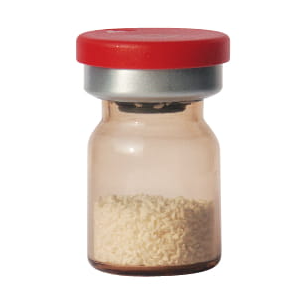 Wszczepy stomatologiczne