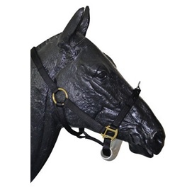 Haltery weterynaryjne