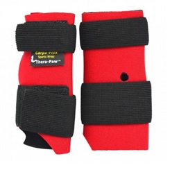 Rehabilitacja i diagnostyka rehabilitacyjna weterynaryjna