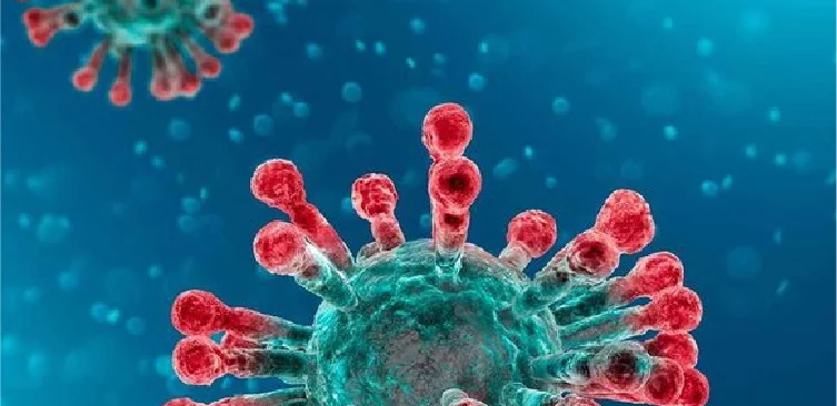 Internetowy Webinar firmy Mediland!